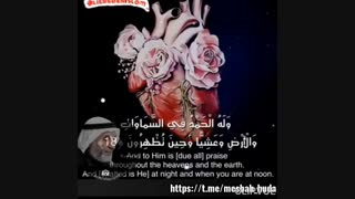 الشیخ عبدالعزیزباقر