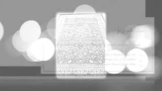اطلاعات کاربردی که زمان خرید فرش باید در نظر داشته باشید.
