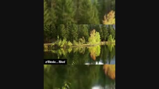 شوق رسیدن به خدا