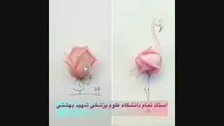 معرفی "دکتر فهیمه رمضانی تهرانی" به عنوان پژوهشگر برتر در جشنواره ابوریحان منافذ باز پوست