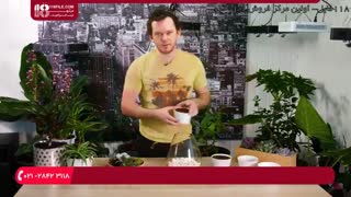 آموزش نحوه ی درست کردن تراریوم ساکولنت