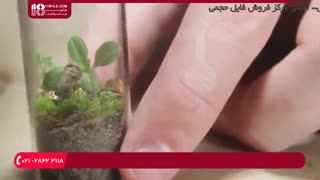 آموزش ساخت تراریوم کوچک بومی در خانه