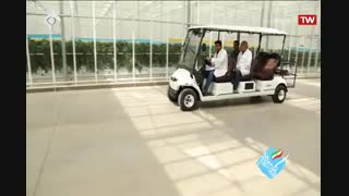 آتاویتا رکورد دار صادرات گوجه فرنگی و فلفل دلمه ای