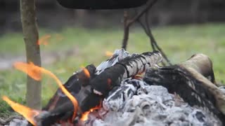 تور گردشگری