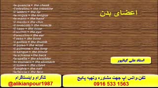 سریعترین روش آموزش زبان ایتالیایی و آمادگی جهت آزمون استرنی