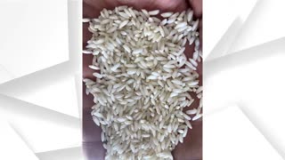 برنجکوبی حاج مرادپور