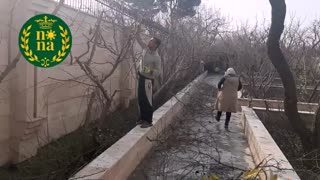 هرس درختان تحت نظارت ترمه سبز طبیعت