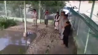 رام کردن گاندو