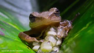 دنیای کوچک 2