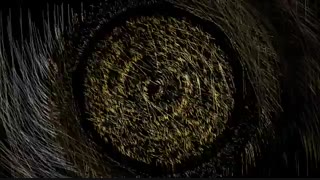 حتماًببینید!...توضیحات