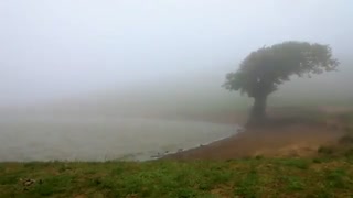 گیلان ، بندرانزلی