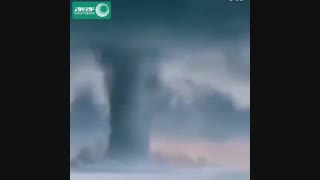 پدیده ای بکر