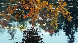 دعای هفتم صحیفه سجادیه - علی فانی