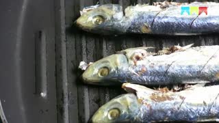 طبخ ساردین رنگینکمان (Rainbow sardine)