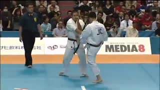 چهلمین دوره مسابقات کاراته آزاد ژاپن 2008