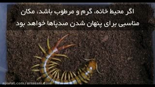 از بین بردن هزارپا با سموم تضمینی