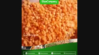 فروش عمده دال عدس