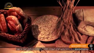 فردینه