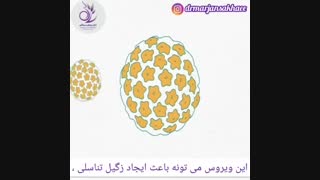 پیشگیری از ابتلا به زگیل تناسلی