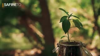 همه چی از اینجا شروع میشه؟