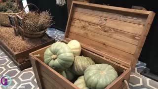 متفاوت ترین بازارچه استانبول | استانبول گردی با پین تاتی