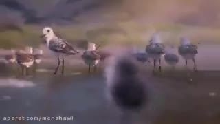 خیالی بودن ترس