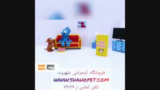 چگونه بهترین غذای سگ را انتخاب کنیم؟