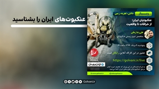 عنکبوت های ایران را بشناسید