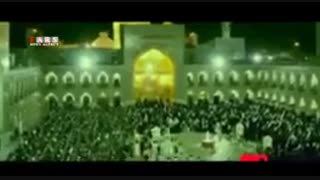 امام رضا (ع)