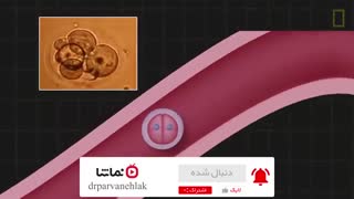 لک نماشا