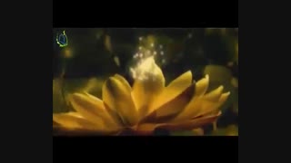 میلاد با سعادت فخرعالم هستی بانو فاطمه زهرا س تبریک و تهنیت باد