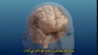 الکل و مغز شما