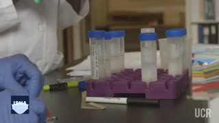 از اثربخشی واکسن روسی تا انجام بازی ویدئویی توسط میمون‌ها