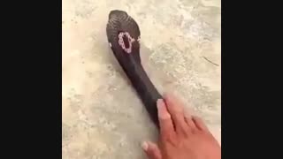 نگ کنید جالبه