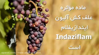 آلودگی کم محیط زیست و خاک با علف کش آلیون | Alion