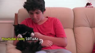 گنج نامه - هیچ وقت کسی را احمق فرض نکنید