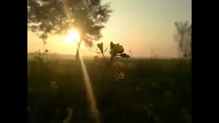 براستیکه دهه فجر مبارک باد
