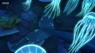 انیمیشن کوتاه((حلزون و نهنگ))دوبله فارسی.2020