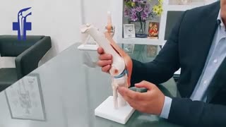 ساختار و آناتومی مفصل زانو | دکتر فرید شهریور
