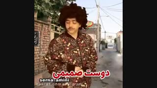 # سرنا امینی