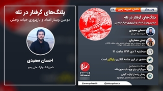 سخنان دکتر احسان سعیدی در وبینار پلنگ‌های گرفتار در تله تزریق ژل