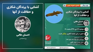 وبینار آشنایی با پرندگان شکاری و حفاظت از آنها