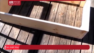 آموزش پرورش قارچ صدفی از ابتدا تا انتها