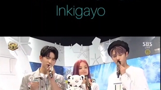 مجری گری کیم جیسو