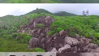 رویای کودکی