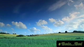 هو اوپونو پونو