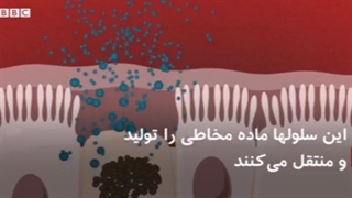 سرعت شیوع ویروس کرونا