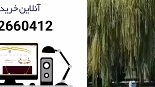 صادرات رب گوجه فرنگی