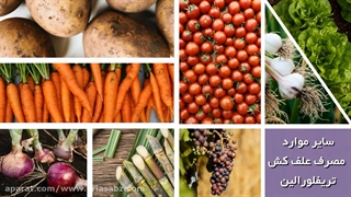 علف کش تریفلورالین و دفع علف های هرز از مزارع آفتابگردان و سویا | Trifluralin