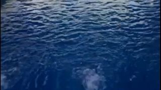 رزرو ویلا با استخر سرپوشیده کردان